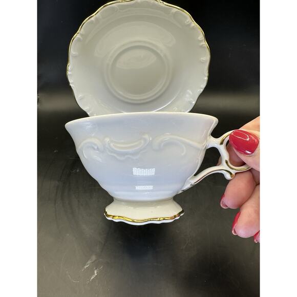 Schumann Arzberg Porcelain Tea Cup and Saucer Wild Roses Gilt Trim Swirl - Picture 5 of 9